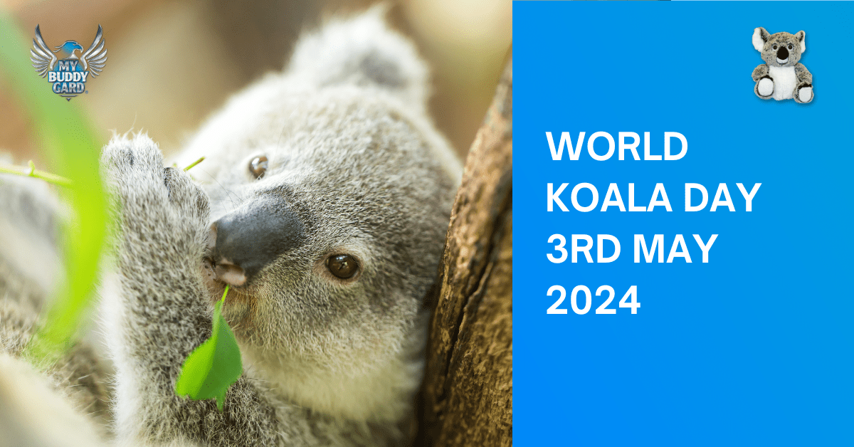 World Koala Day